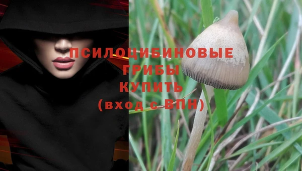 твердый Алексеевка