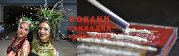 ECSTASY Алзамай