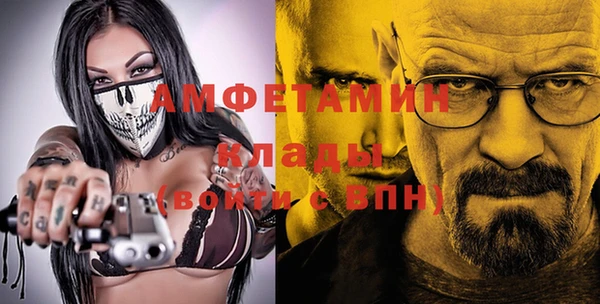 ECSTASY Алзамай