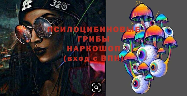твердый Алексеевка