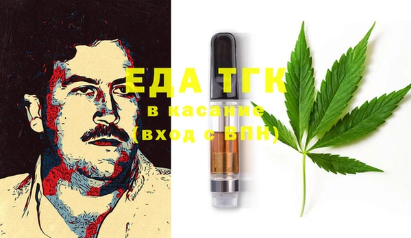 ECSTASY Алзамай