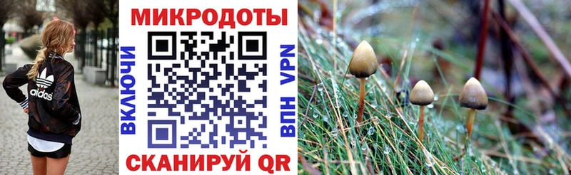 блэк спрут вход  Анжеро-Судженск  Псилоцибиновые грибы мицелий 
